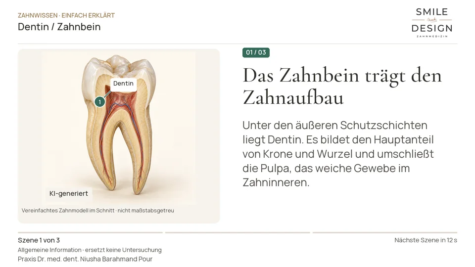 Short film (German): What lies beneath the enamel?