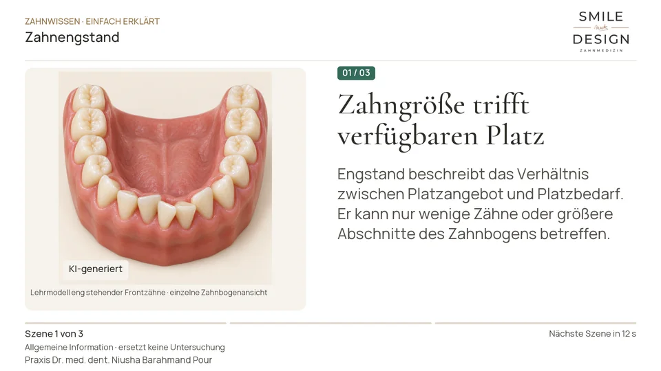 Short film (German): Why do teeth overlap or stand out of line?