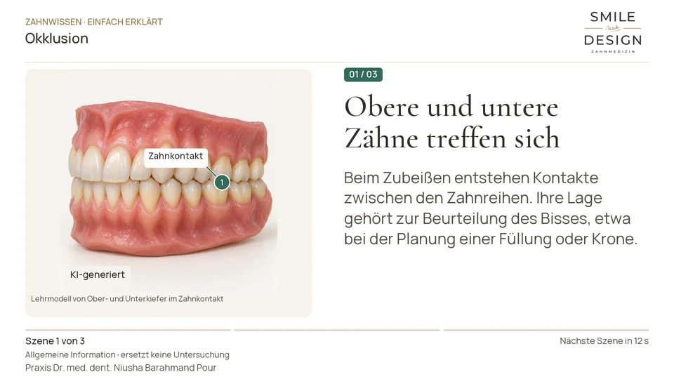 Short film (German): What does the bite mean in dentistry?