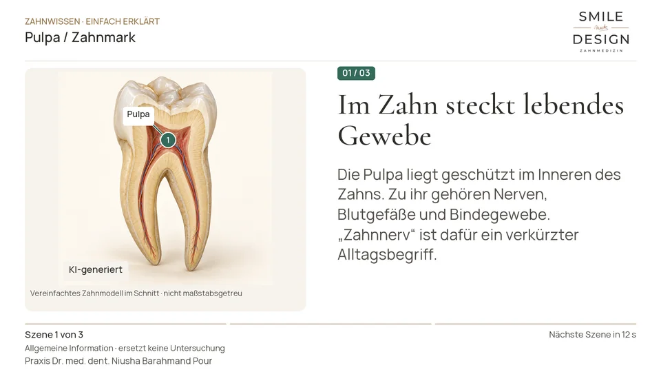 Kurzfilm: Was steckt hinter dem Wort Zahnnerv?