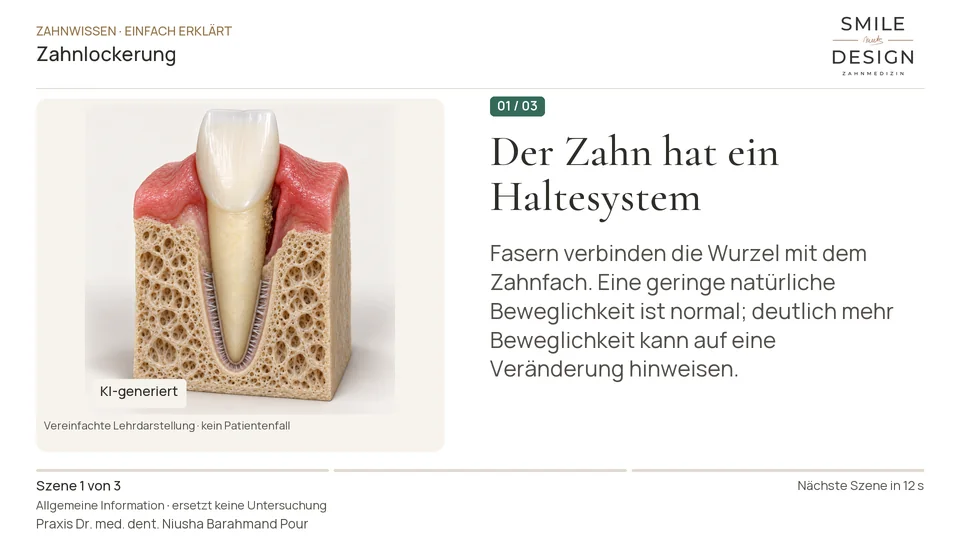 Kurzfilm: Warum wird ein bleibender Zahn locker?