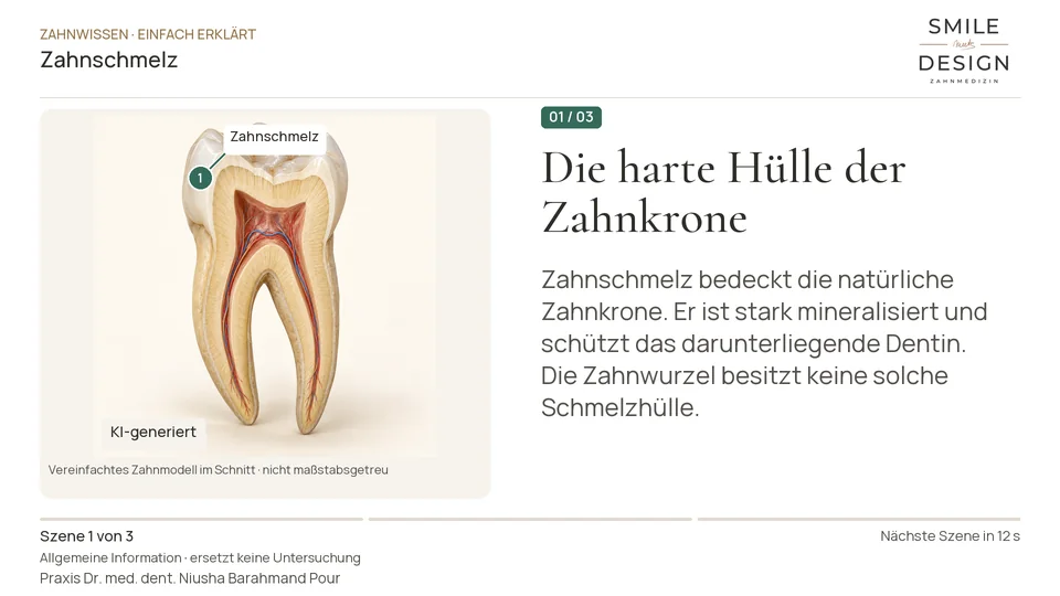Short film (German): What protects the visible crown of a tooth?