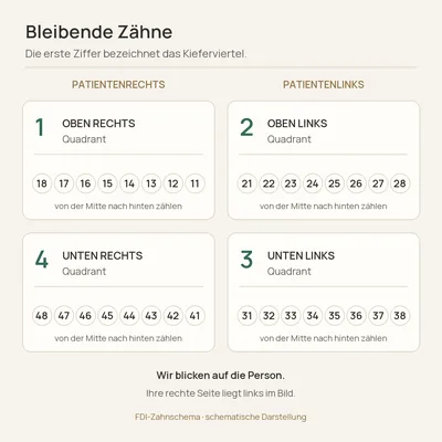 Lehrdarstellung zum Thema Zahnschema / Zahnnummern